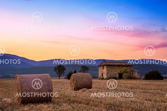Sunset over farm field