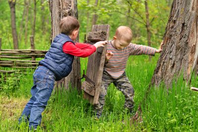 Two young boys fighting over a rustic old gate