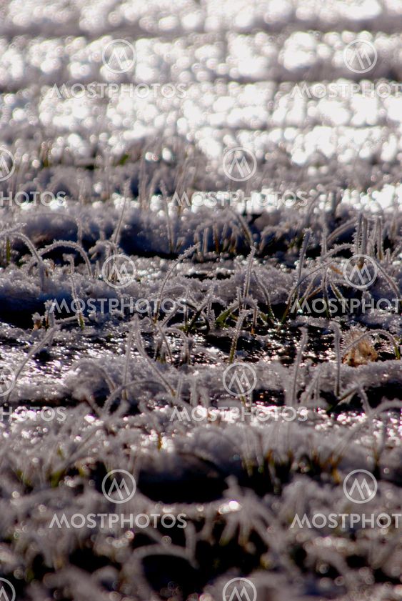 Winter cold