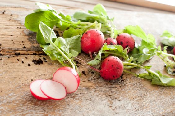 Slicing radishes for salad ingredients