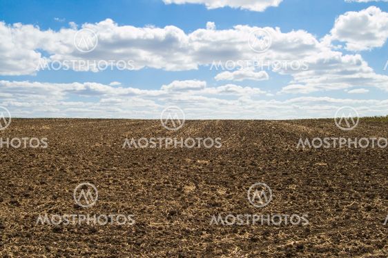 tillage