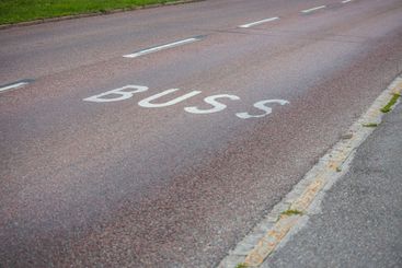 View of bus Line road markings on asphalt road.