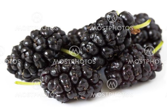 Mulberry fruits