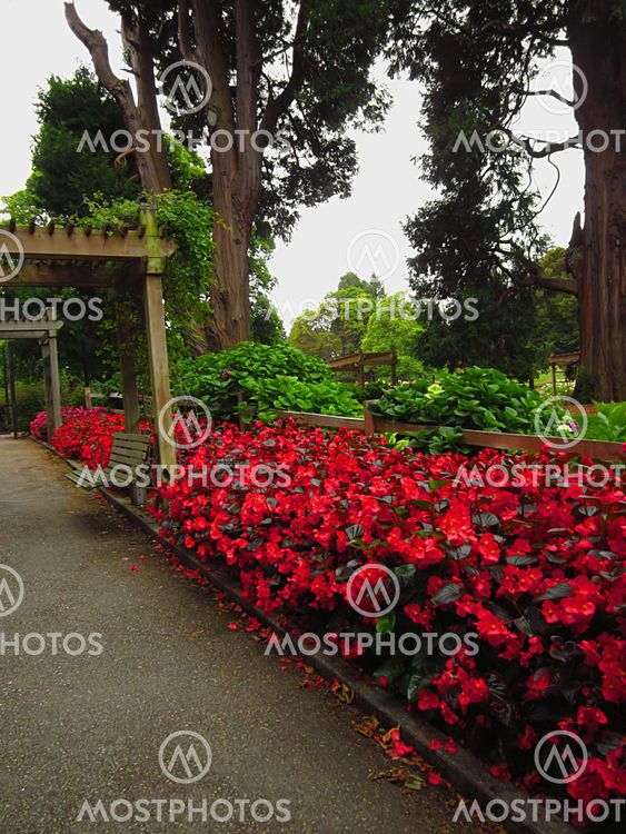Garden Landscape