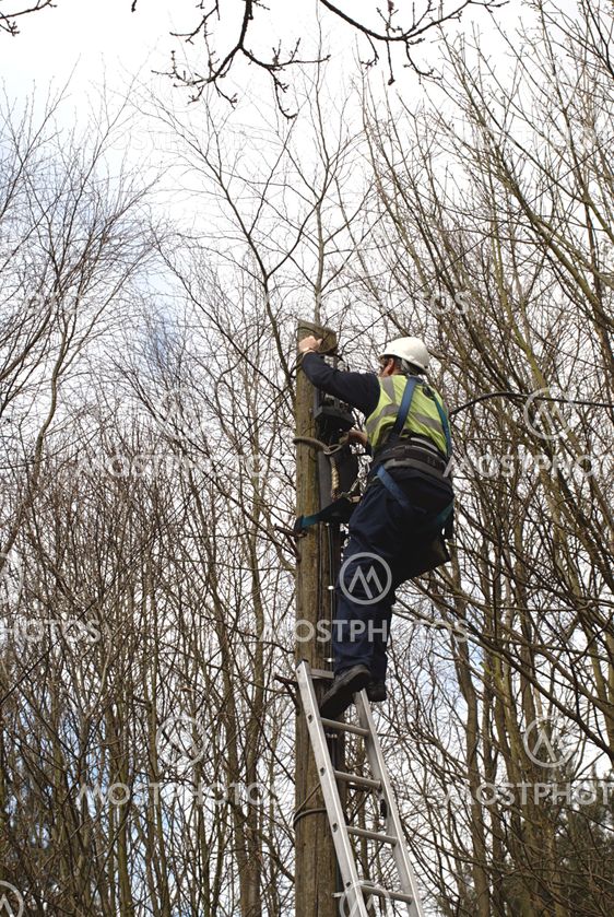Engineer Working on Telephone Line