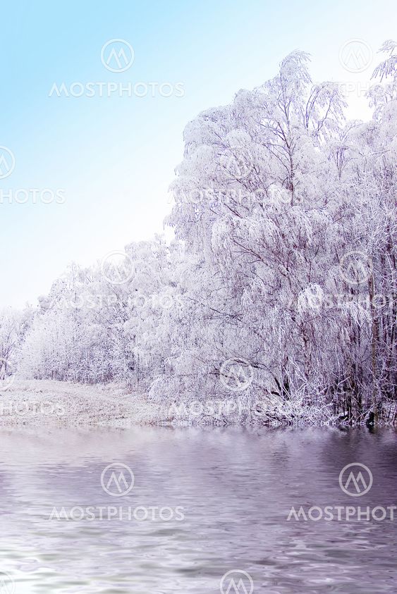 Winter landscape