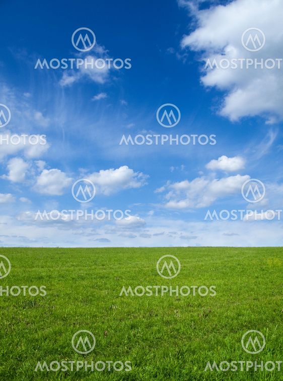 Green field and sky