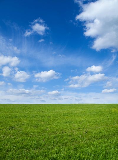 Green field and sky 