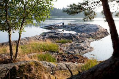 Avslappnad aktivitet