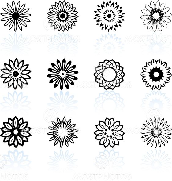 floral design collection