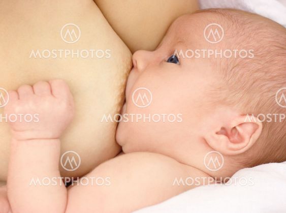 Newborn sucks mother's breast, breastfeeding