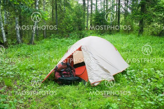 Tourist tent on glade in wood