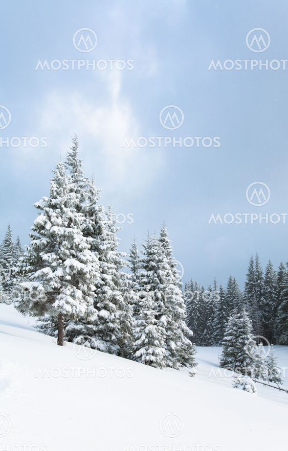 winter mountain landscape