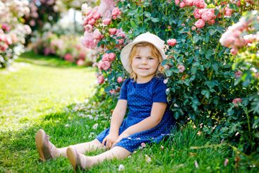 Portrait of little toddler girl in blossoming rose...