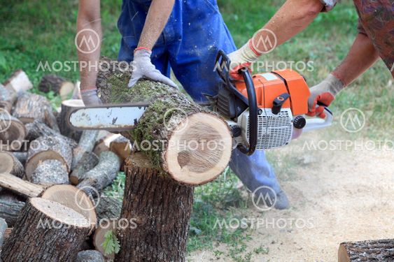 Timber