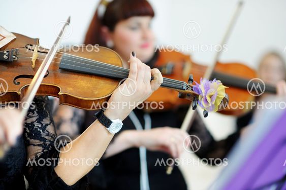 Two musicians playing violins