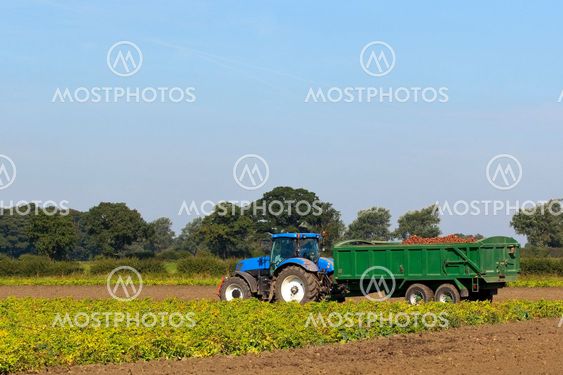 blue tractor and trailer