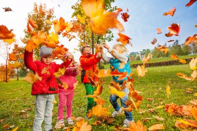 Active group of children play with flying leaves