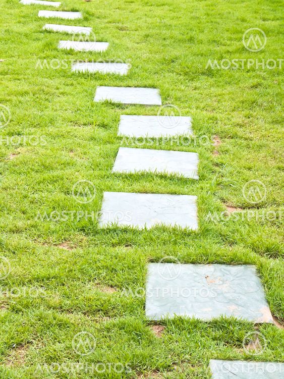 Walk path in the park