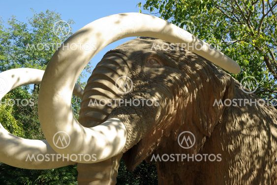 Mammoth