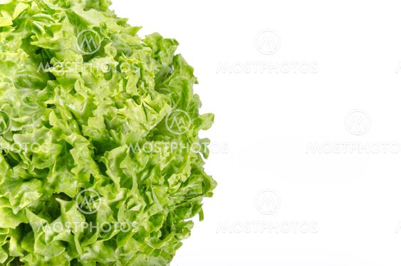 Texture of spring green lettuce leaves isolated on a white background