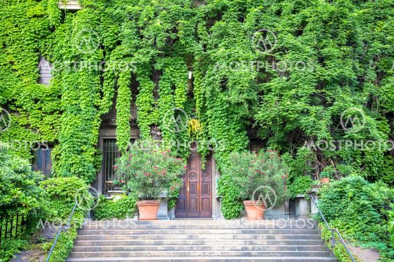 Green Real Estate