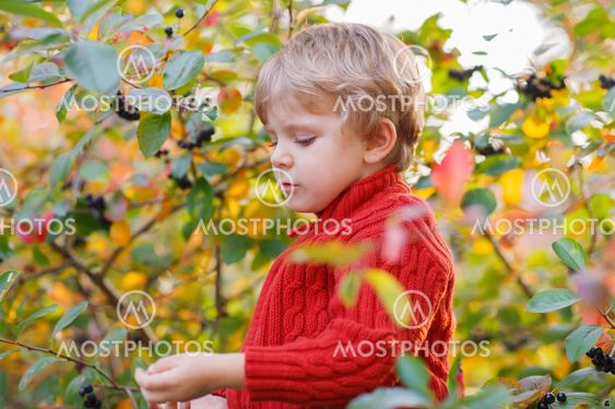 Funny little preschool boy sitting on a wall in late summer evening park, outdoors