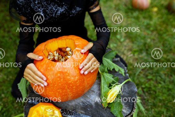 Girl, little child hands hold pumpkin before carving for...