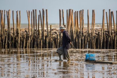 samuthsakorn thailand - march8,2017 : domestic life of...