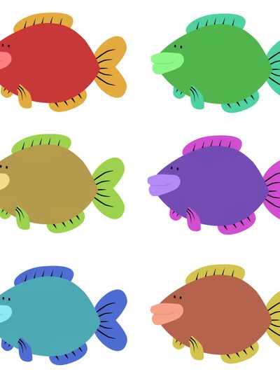 Six Colourful Fish