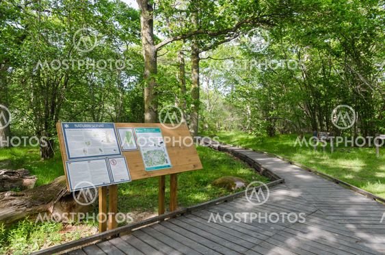 Informationstavla i Halltorps Hages naturreservat på Öland