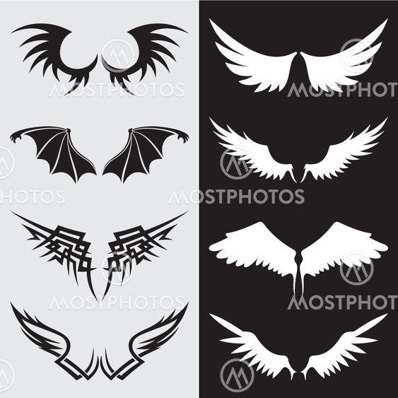 Wings 02