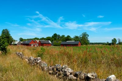 Landscape on the island Öland
