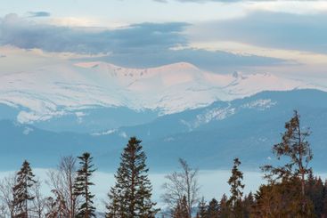 Early morning spring Carpathian mountains