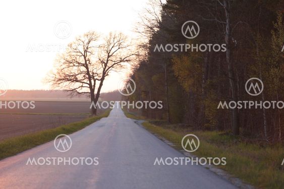 LongLonelyRoad