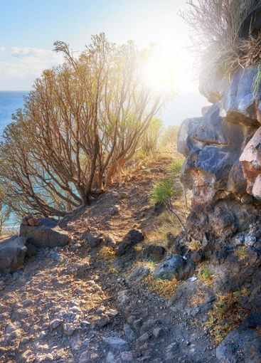 Mountain, rocks and trail with beach scenery, view or...