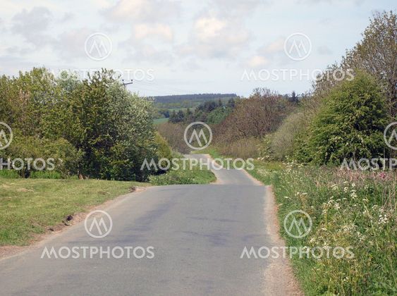Rural landscape with road