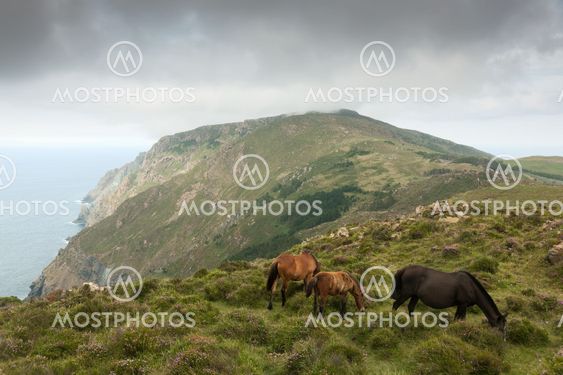 Mountains of A Capelada, Galicia, Spain