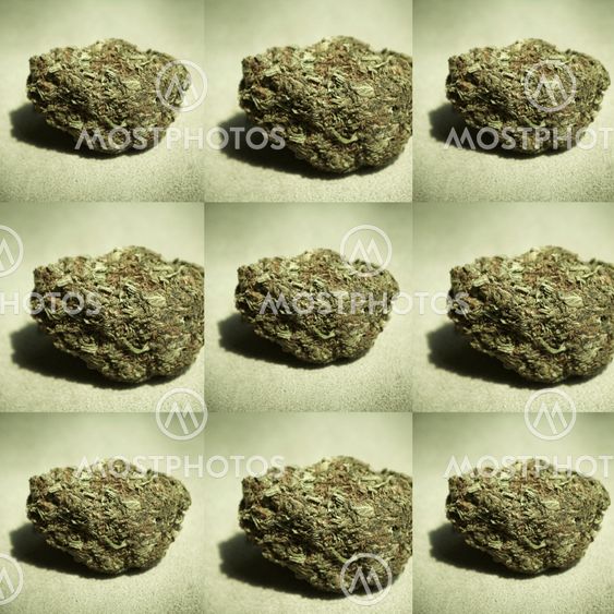Medical Marijuana