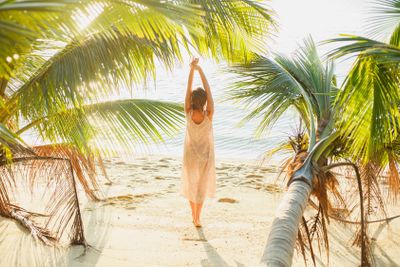 back view of woman stretching between palm trees on...