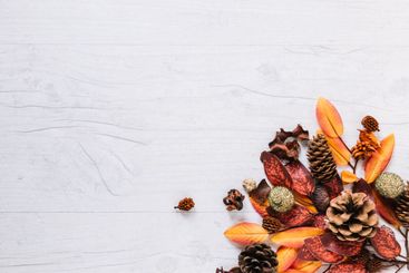 multicoloured bunch leaves