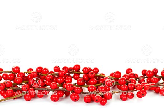 Red Christmas berries border