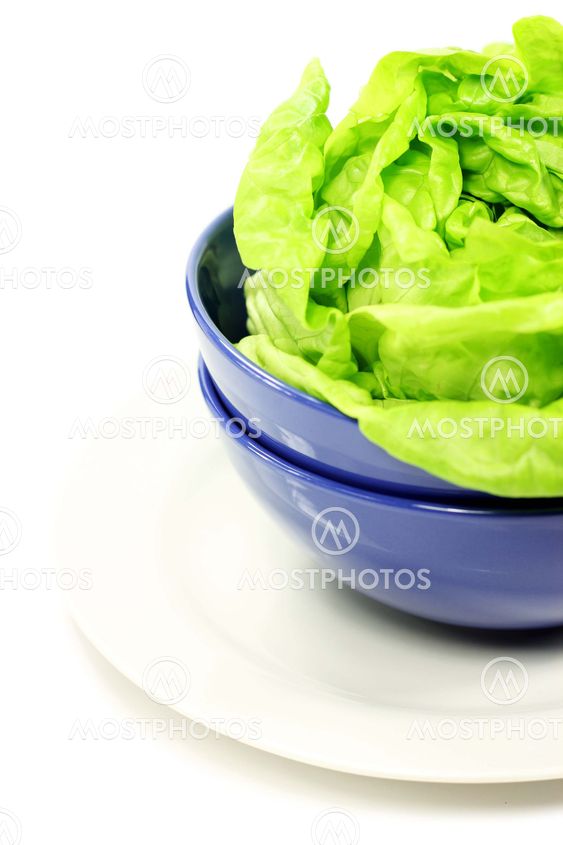 Green lettuce leaves in a bowl