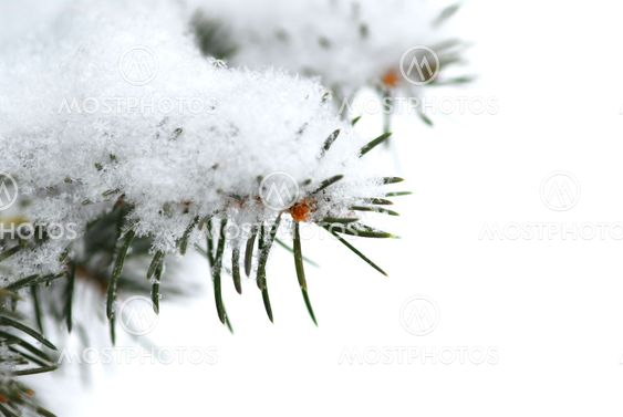 Snöiga filial bakgrund