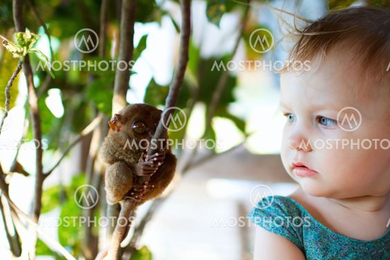 Girl and tarsier