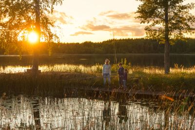 Late summer evening at the lake