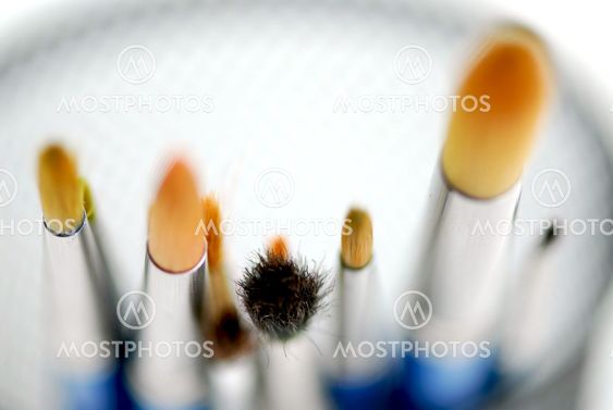 Paintbrushes macro