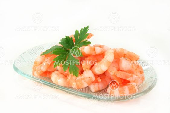 Shrimp