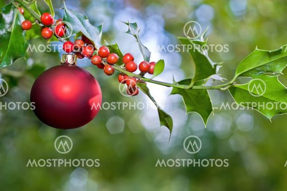 christmas ball and holly