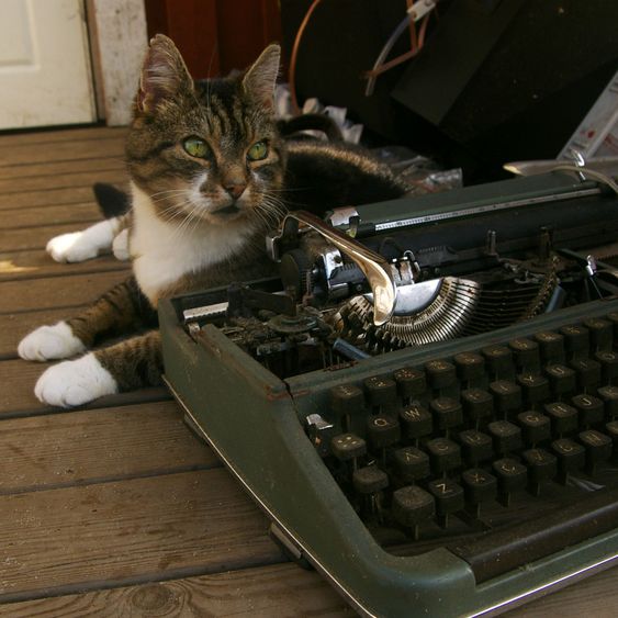 The cat and the writingmachine